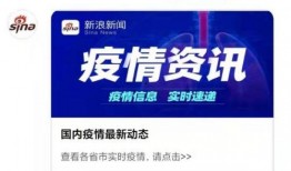 怎么在新浪新闻爆料,轻松掌握信息上报技巧